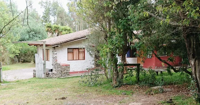 Vendo Terreno de 27000 m con Casa 240 m en Pifo — imagen 5