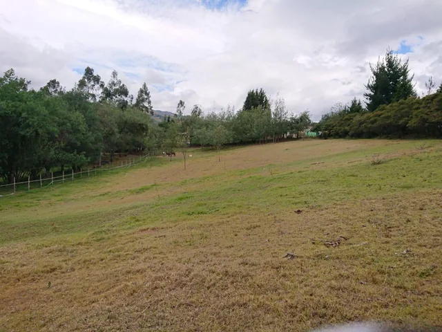 Vendo Terreno de 27000 m con Casa 240 m en Pifo — imagen 3