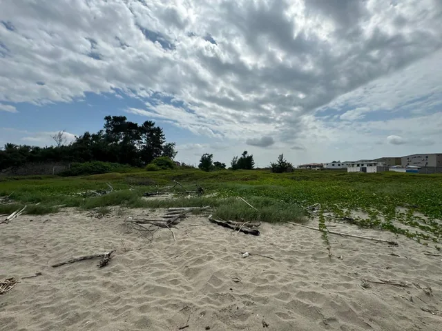 Terreno Al Pie del Mar en Venta en Playas, Guayas — imagen 5