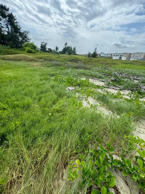 Terreno Al Pie del Mar en Venta en Playas, Guayas — imagen 2
