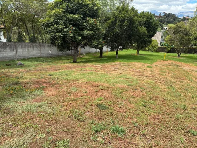 Mga Venta Terreno, Cumbaya, Vieja Hacienda — imagen 4