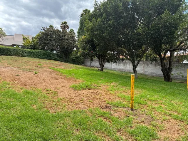 Mga Venta Terreno, Cumbaya, Vieja Hacienda — imagen 2