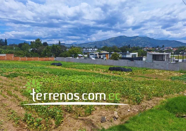 Terreno Independiente de Venta de 4.250 m² Tumbaco — imagen 5