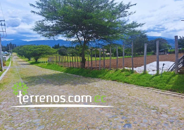 Terreno Independiente de Venta de 4.250 m² Tumbaco — imagen 4