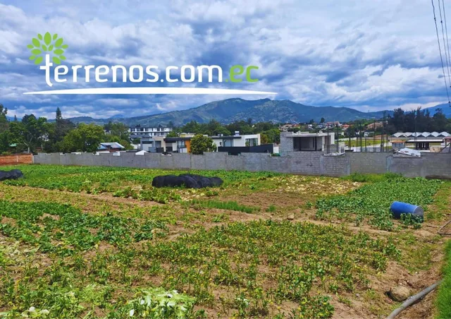 Terreno Independiente de Venta de 4.250 m² Tumbaco — imagen 2