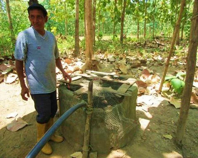 Venta Hacienda Agrícola 60 Ha Balzar Frente Vía, Guayas — imagen 3