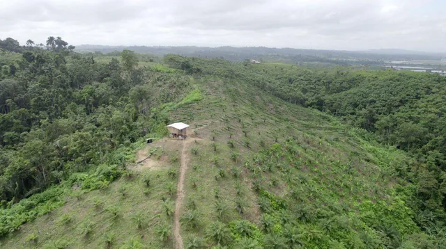 Hacienda Agricola en Venta Daule Esmeraldas — imagen 4