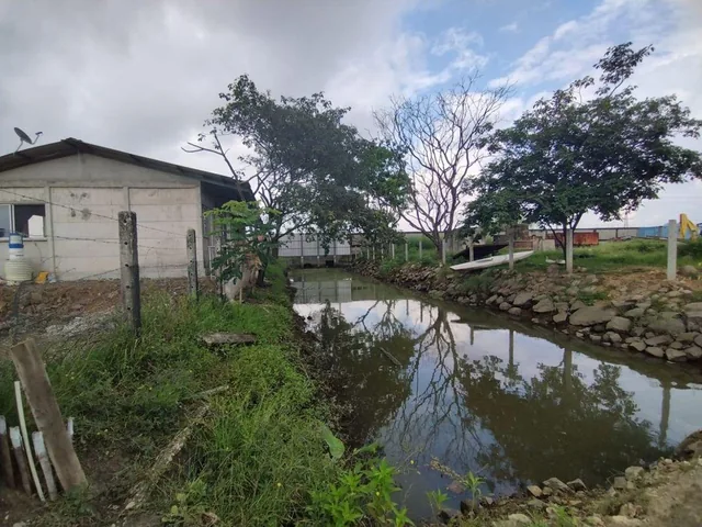 Hectarea Comercial Industrial Institucional A. Blum, Guayas — imagen 4