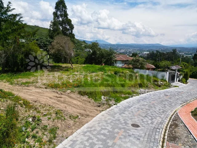Terreno en Venta Urb. Pacho Salas 2.547 m², Tumbaco — imagen 4