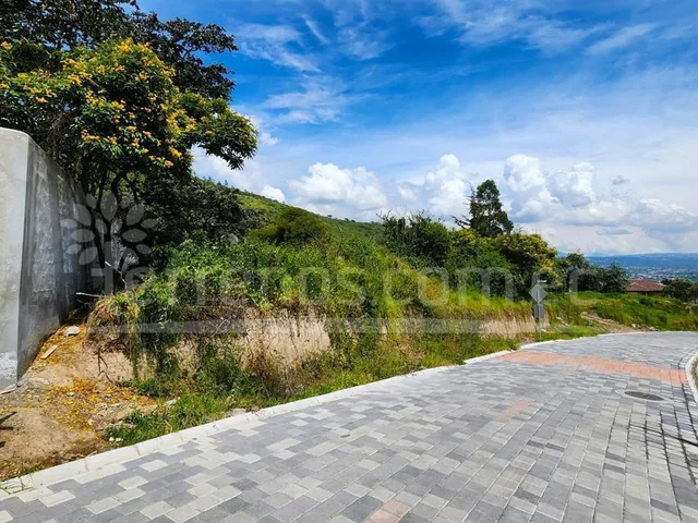 Terreno en Venta Urb. Pacho Salas 2.547 m², Tumbaco — imagen 2