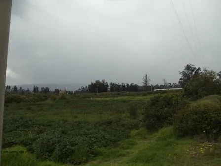 Vendo Terreno de 34 Hectáreas en Checa — imagen 5