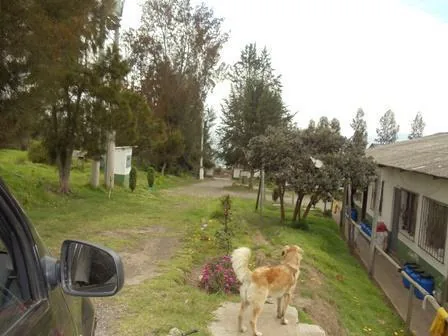 Vendo Terreno de 34 Hectáreas en Checa — imagen 4