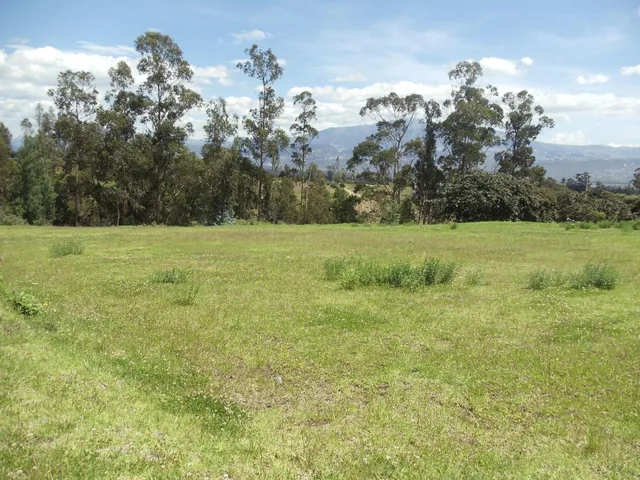 Vendo Terreno de 34 Hectáreas en Checa — imagen 2