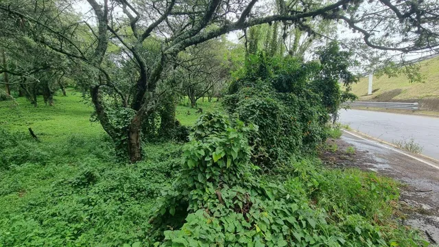 En Venta 14056 m² Sobre La Ruta Viva - Escalón Tumbaco — imagen 2