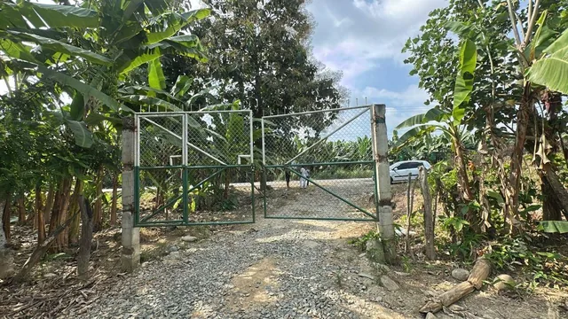 Terrenos en Venta en Buenavista, Pasaje, El Oro — imagen 5