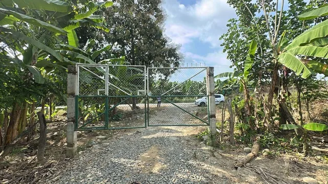 Terrenos en Venta en Buenavista, Pasaje, El Oro — imagen 4