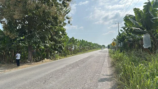 Terrenos en Venta en Buenavista, Pasaje, El Oro — imagen 3