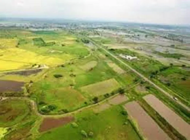 Terreno de 50.000 m² en Venta en Samborondón con Acceso Asfaltada Pasando Peaje, Guayas — imagen 5