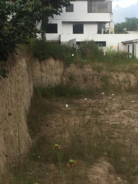 Buen Terreno Independiente 1086 m² Centro de Cumbayá con Proyecto de Suites — imagen 4