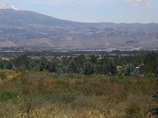 Espectacular Terreno de Venta Ubicado en Checa — imagen 2