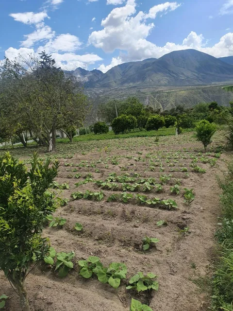 Terreno en Venta en Puéllaro 2400 m² en Derechos y Acciones — imagen 5