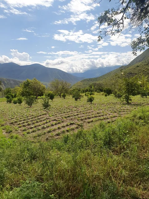 Terreno en Venta en Puéllaro 2400 m² en Derechos y Acciones — imagen 2