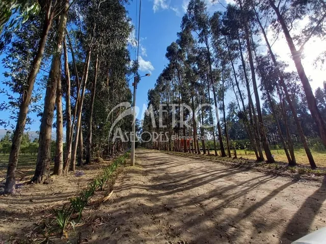 Lote de Terreno 954 m² Tabacundo Dentro de Club Campestre — imagen 2