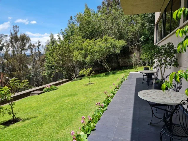 Oportunidad Venta Departamento Remodelado El Bosque — imagen 2