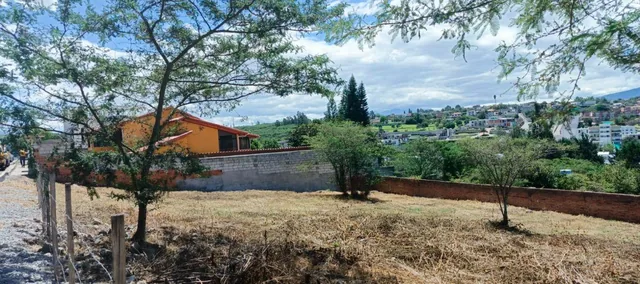 Vendo 1.080 m² Dentro de Urb. Tumbaco La Viña — imagen 2