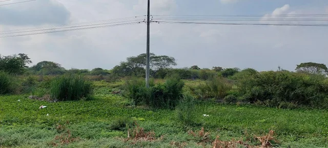 Venta Terreno 50000 m² Alto Impacto en Via Duran Tambo, Guayas — imagen 2