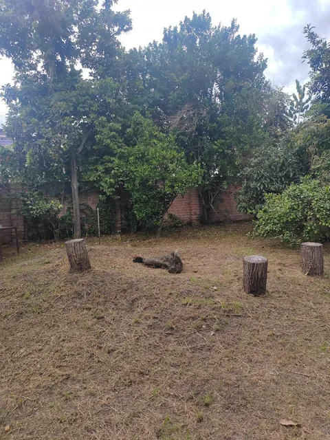 Vendo Terreno con Casa en Obra Gris en Tumbaco Sector El Carrizal — imagen 2