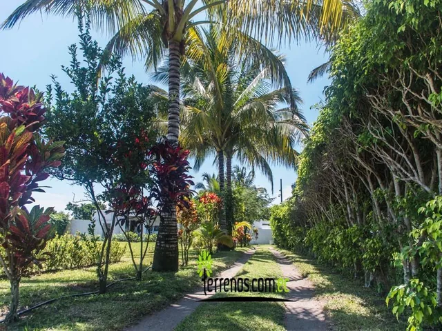 Vendo Terrenos Cojimies Manabí en Urbanización de Lujo Crédito Directo, Manabí — imagen 4