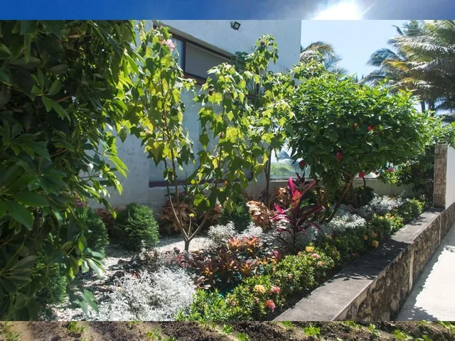 Vendo Terrenos Cojimies Manabí en Urbanización de Lujo Crédito Directo, Manabí — imagen 2