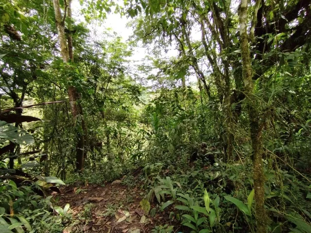 Venta Terreno Mindo — imagen 4