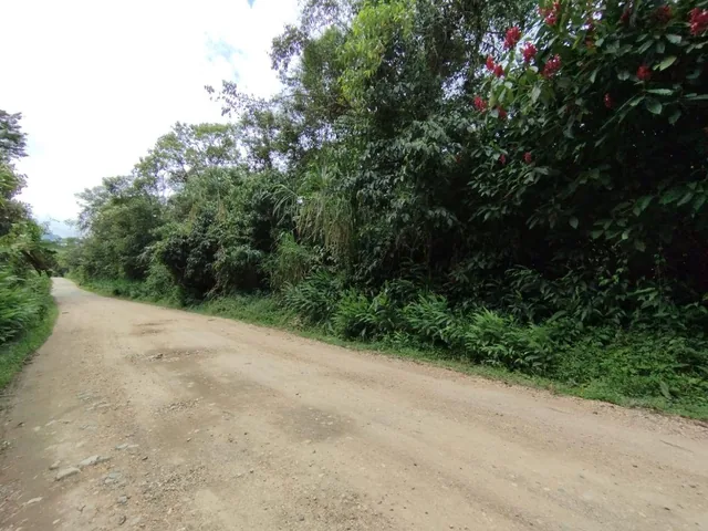 Venta Terreno Mindo — imagen 2