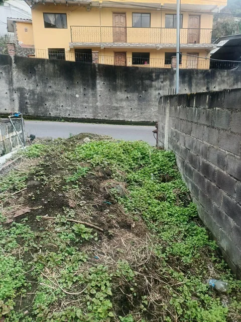 Vendo Terreno en El Centro de Papallacta con Casita de Madera por Remodelar y Agua Termal, Napo — imagen 2