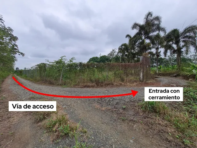 Terreno Agrícola en Venta 5.19 Hectáreas - Cantón Simón Bolivar, Guayas, Guayas — imagen 5