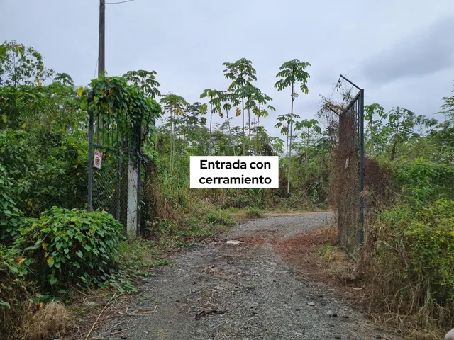 Terreno Agrícola en Venta 5.19 Hectáreas - Cantón Simón Bolivar, Guayas, Guayas — imagen 4