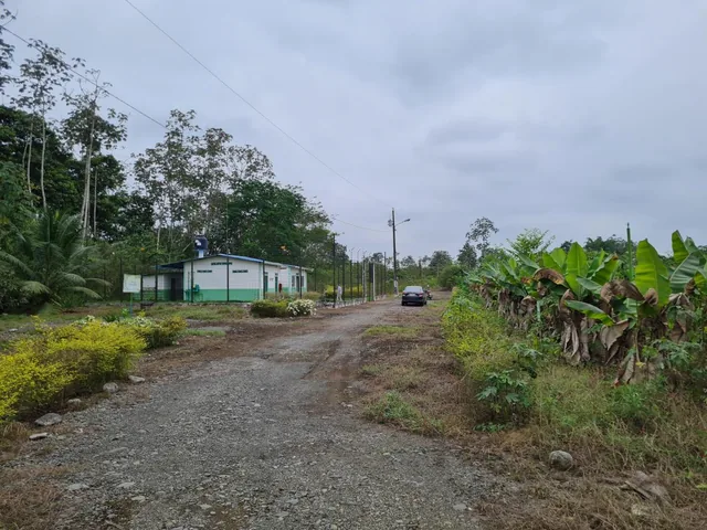 Terreno Agrícola en Venta 5.19 Hectáreas - Cantón Simón Bolivar, Guayas, Guayas — imagen 3
