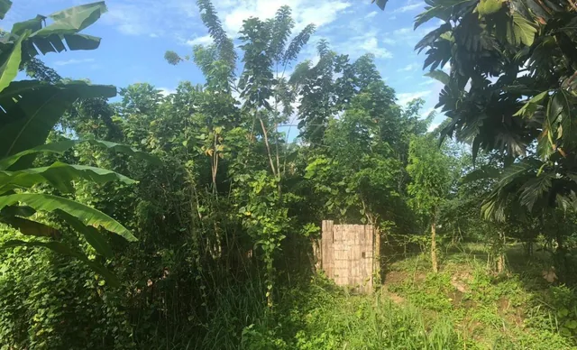 Vendo Terreno de 200 m² en Lot. Monserrate – Al Sur de La Concordia - L. Villegas — imagen 3