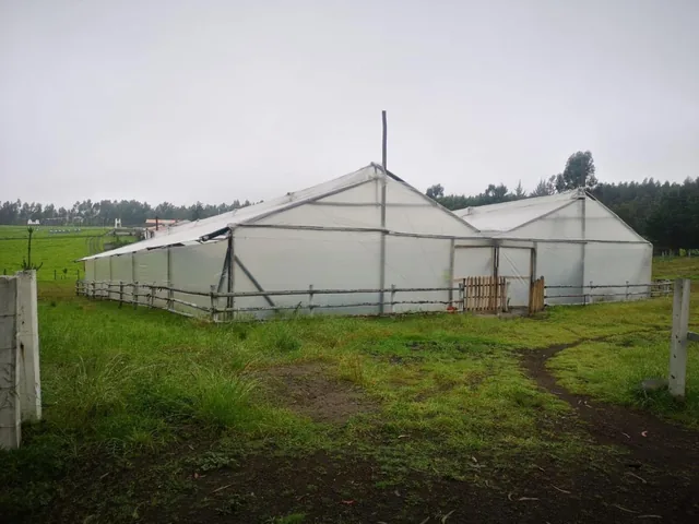 Venta Hermosa Finca Mulalo Faldas del Cotopaxi, Cotopaxi — imagen 5