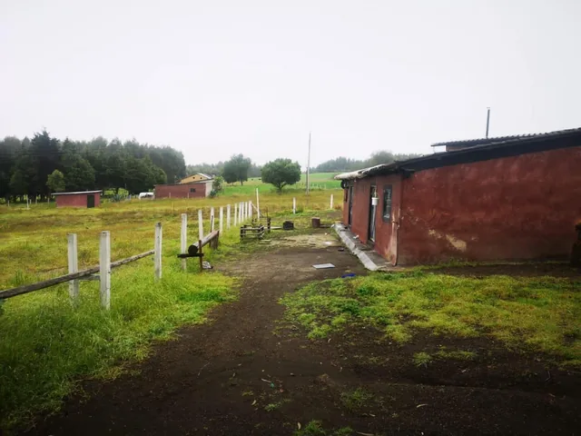 Venta Hermosa Finca Mulalo Faldas del Cotopaxi, Cotopaxi — imagen 2