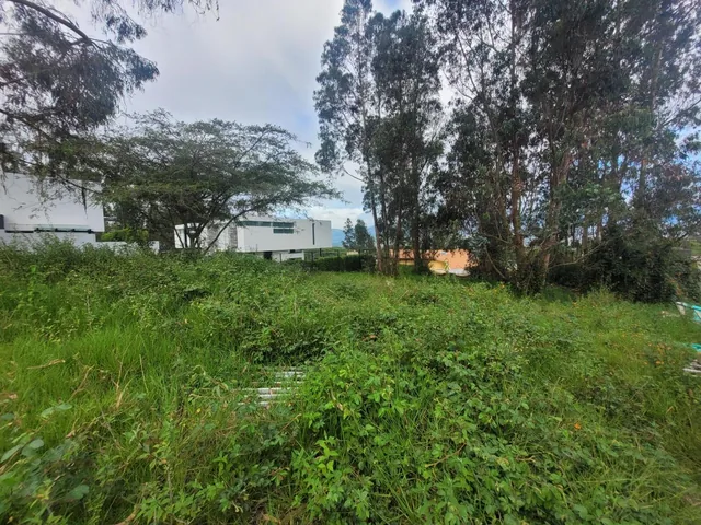 Terreno con 1000 m² en Venta en Nayón — imagen 3