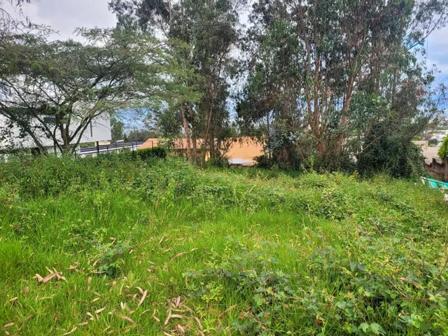 Terreno con 1000 m² en Venta en Nayón — imagen 2