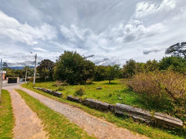 Terreno Estratégico 2.320 m² Tumbaco Sector La Villavega Cos 105% - 3 Pisos — imagen 4