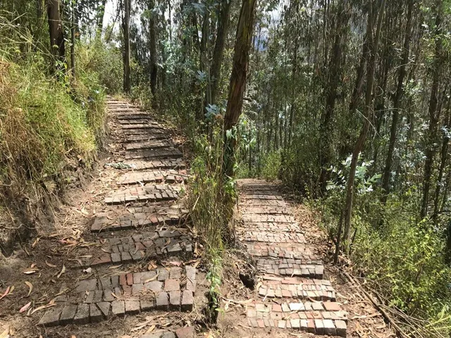 Precioso Terreno de 1056 m² en Venta en Cumbayá Espectacular Vista Al Valle, Dentro de Urbanización — imagen 3
