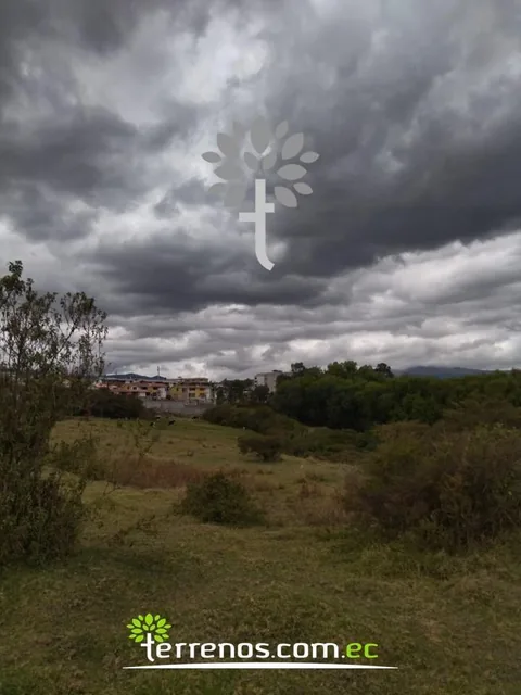 Terreno de Venta de 25.100 m², Sector El Colibrí — imagen 3