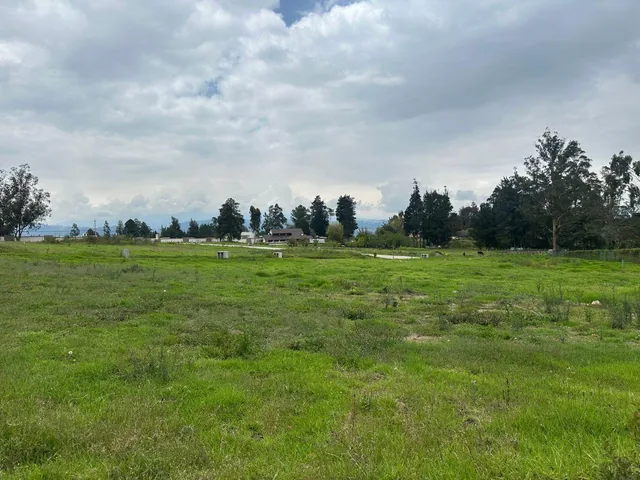 Vendo Hermosos Terrenos en Puembo Conjunto Cerrado 1.007,63 m² — imagen 4
