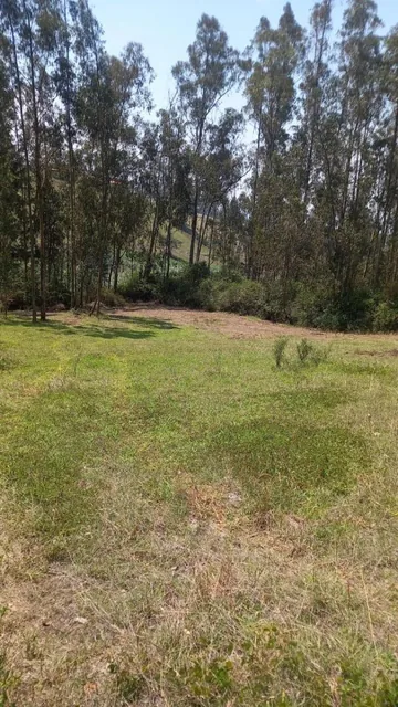 Vendo Terreno de 2.198 m² en Yaruqui - El Tejar Alto — imagen 5