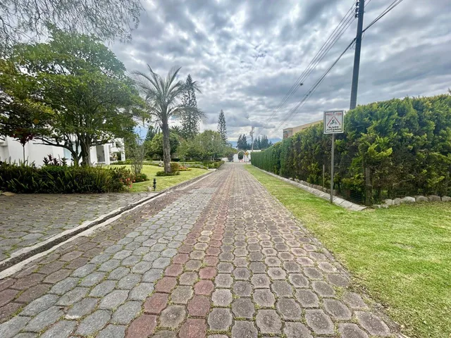 Venta Tumbaco La Morita Terreno Plano en Conjunto de 8 Casas — imagen 4